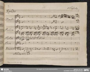 L' innocente fortunata. Excerpts - Mus.1-F-82,20-10 : S, orch, b; RobP deest