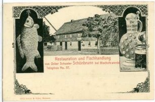 Schönbrunn. Restauration und Fischhandlung