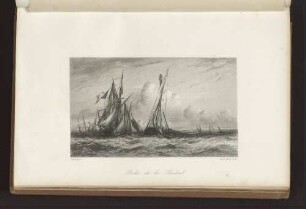 Pêche de la Sardine