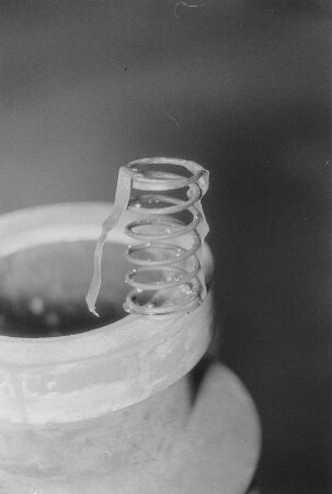 Bodensch. Neuman [?]