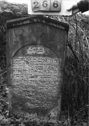 Grabstein 266 (Index: 99752200) Material: Sandstein Zustand: verwittert Maße HxBxT: 99x50x11 cm Beschreibung: Stele, giebelartiger Abschluß, Schriftfeld eingetieft mit Segmentbogenabschluß Symbolik: Scheibe: Grabstein 266