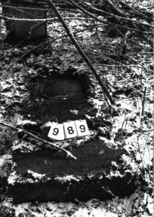 Grabstein 989