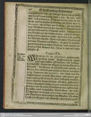 Caput IIX. Irrthum vom beruff der Mensche[n]