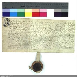 Revers Friedrich Amands von Dernbach bezüglich der Belehnung mit der Wüstung Niedlingen durch Adalbert [von Walderdorff], Bischof und Abt von Fulda