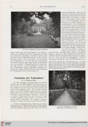 12: Waldaufbau oder Waldraubau?