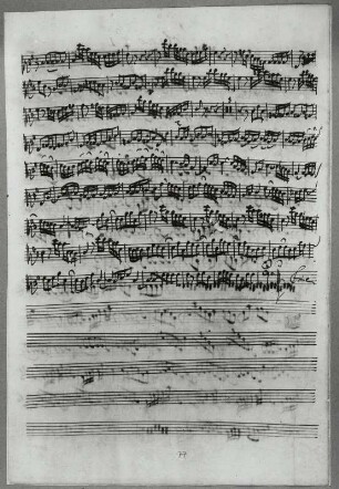 Stimmensatz: Cum Sancto Spiritu (T. 64-128.Fine), Viola