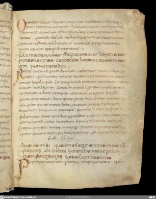 Aponius - Hieronymus - Pseudo-Mellito - Vita Euphrosynae - Versus