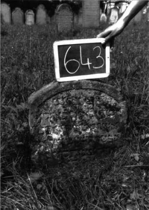 Grabstein 643 (Index: 100104959) Material: Sandstein Zustand: stark verwittert, eingesunken, teilweiser Textverlust Maße HxBxT: 45x48x10 cm Beschreibung: Stele, Segmentbogenabschluss, Schriftfeld eingetieft: Grabstein 643