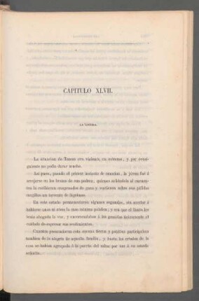 Capítulo XLVII. - La locura.