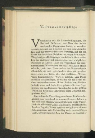 VI. Passive Brutpflege