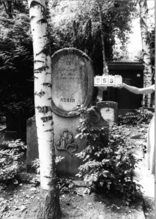 Grabstein 558