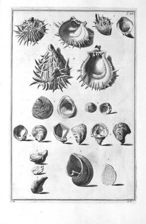 Tab. 101