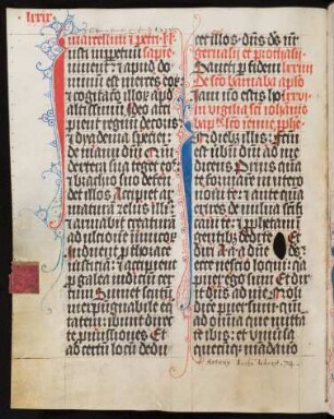 Nativitas Johannis Baptistae