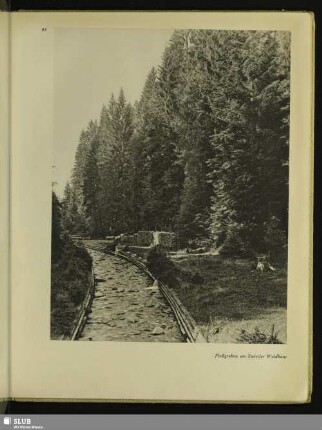 83 Floßgraben am Zwiesler Waldhaus