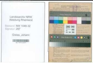 Entnazifizierung Johann Greiss , geb. 11.02.1900 (Angestellter)