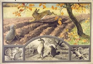 Hase und Igel