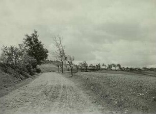 Altenberg, die Hohe Straße am Geisinberg mit Vogelbeerbäumen, ungepflasterter Fahrweg