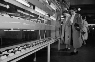 Zwei Besucherinnen der Leipziger Herbstmesse 1955 betrachten in Vitrinen ausgestellte Gesteinsproben