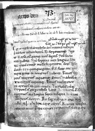Micrologus de ecclesiasticis observationibus - BSB Clm 14721