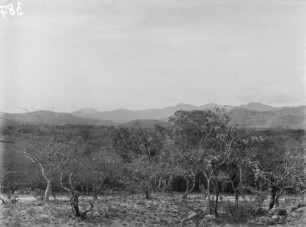 Gebirgslandschaft : Vegetationslandschaft eines Gebirges