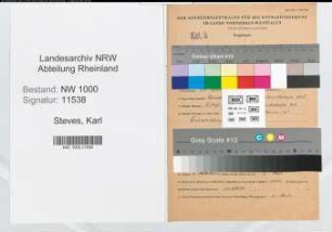 Entnazifizierung Karl Steves, geb. 15.02.1903 (Beamter)