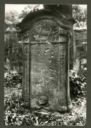 Friedhof. Grabstein der Fam. Osterheld. Juli Vergl. 507