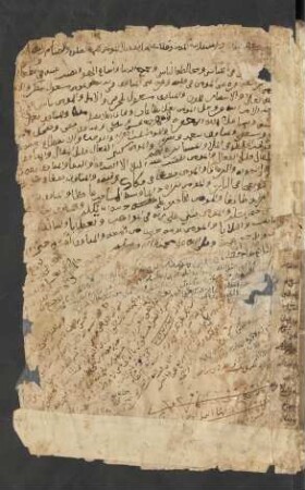 Kitāb Šarḥ al-Azhār al-muntazaʿ al-muḫtār min al-ġaiṯ al-midrār