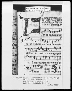Anitiphonar, Sommerteil — Initiale F (ilie), Folio 82 recto