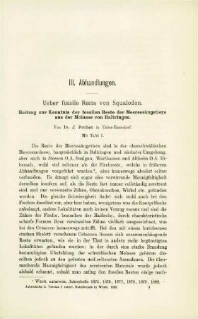 Über fossile Reste von Squalodon. Beitrag zur Kenntnis der fossilen Reste der Meeressäugetiere aus der Molasse von Baltringen