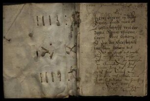 Hürnheimisches Lehenbuch über die zu der Herrschaft Wöllstein gehörigen Lehen, angelegt von Hans Konrad von Hürnheim nach dem Ableben seines Vaters Herdegen von Hürnheim, betreffend das Dorf Abtsgmünd, den Weiler Wöllstein, Vorder- und Hinterbüchelberg, Bühler, Willfingen, Bronnen und Ebnat.