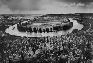 Archivfotografie "neckar_mundelsheim_2233"