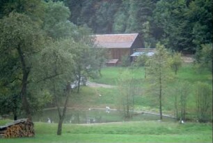 Dorfteich, im Vordergrund Wiese mit Obstbäumen