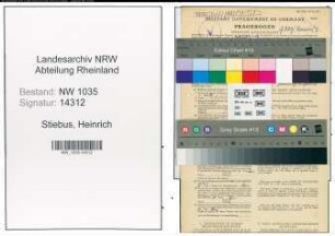 Entnazifizierung Heinrich Stiebus , geb. 03.01.1908 (Kaufmann)