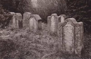Judenfriedhof. Grabsteine