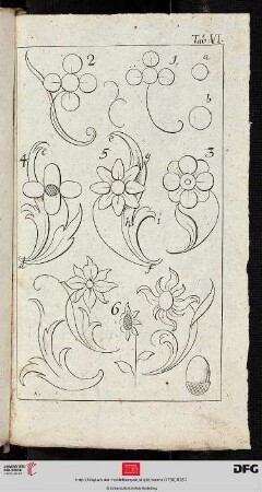 Tab. VI [Blumen (Schemata)]