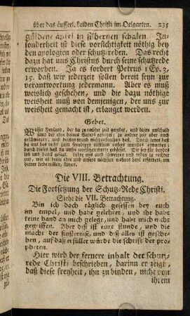 235-247, Die VIII. Betrachtung.