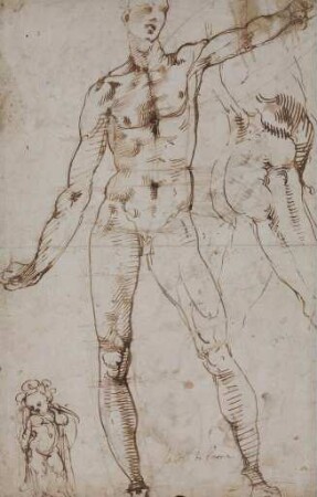 Männliche Aktstudien und Skizze eines Putto