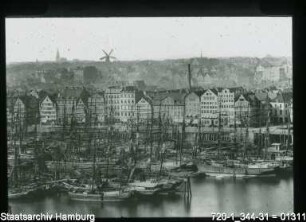 Baumwall