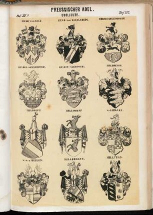 Taf. 212. Held von Arlé. - Held von Hagelsheim. - Helden-Gonsiorwski. - Helden-Gowarczewski. - Helden-Sarnowski. - Heldreich. - Heldritt. - Helldorff. - v. d. Hellen. - v. u. z. Hellen. - Hellermann. - Hellfeld