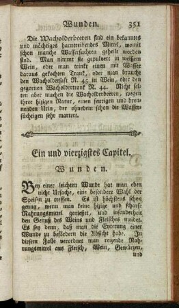 Ein und vierzigstes Capitel. Wunden.