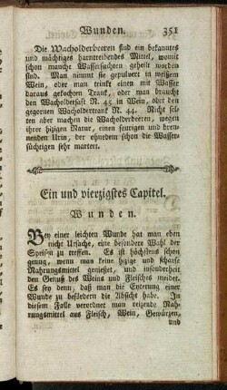 Ein und vierzigstes Capitel. Wunden.