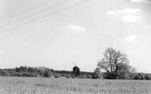 Baruth/Mark-Merzdorf. Bockmühle, Blick zur Mühle
