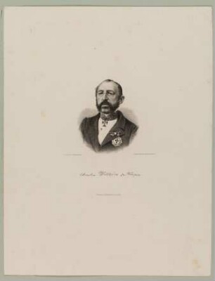 [Bildnis Anton Wollheim da Fonseca] : nach einer Photographie
