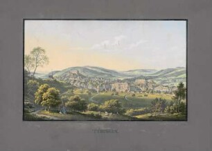 Tübingen. Ansicht vom Österberg : Kolorierte Lithographie