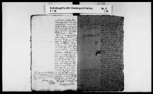Revision des Bergamts Altenberg mit Berggießhübel und Glashütte, Band 1