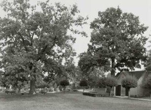 Friedhof, Großsteinberg (Kreis Grimma)