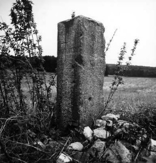 Wegweiser; Neu-Eichenberg, Tannenbreite