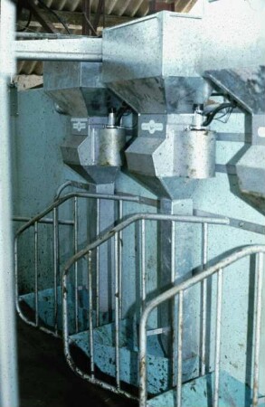 Fotografie: Fütterungstechnik, Melkstand, Fischgrätenmelkstand, Kraftfutterautomat