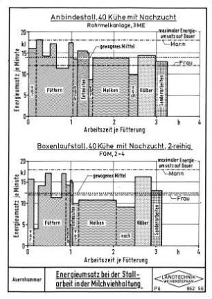 Energieumsatz bei der Stallarbeit in der Milchviehhaltung - mit Nachzucht