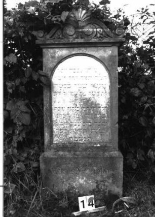 Grabstein 14 (Index: 99891844) Material: Sandstein, Inschrifttafel Marmor Zustand: Inschrifttafel teilweise unlesbar Maße HxBxT: 138x57x18 cm Beschreibung: rechteckige Stele, Mittelakroter Symbolik: Palmette als Mittelakroter: Grabstein 14